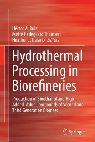 Książka Hydrothermal Processing in Biorefineries Mette Hedegaard Thomsen