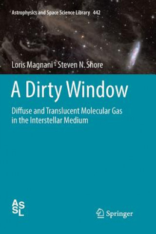 Książka Dirty Window Loris Magnani