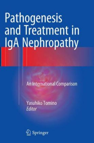 Könyv Pathogenesis and Treatment in IgA Nephropathy Yasuhiko Tomino