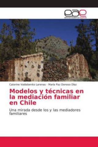 Buch Modelos y tecnicas en la mediacion familiar en Chile Caterine Valdebenito Larenas