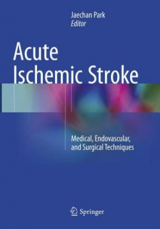 Buch Acute Ischemic Stroke Jaechan Park