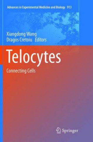 Carte Telocytes Xiangdong Wang