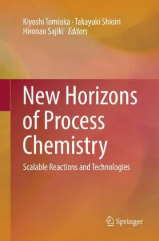 Kniha New Horizons of Process Chemistry Kiyoshi Tomioka