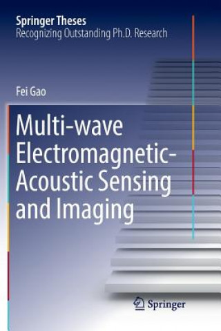 Książka Multi-wave Electromagnetic-Acoustic Sensing and Imaging Fei Gao