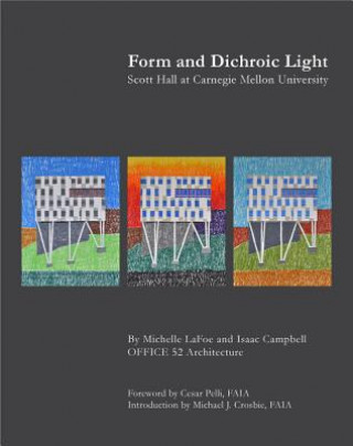 Kniha Form and Dichroic Light Michelle Lafoe