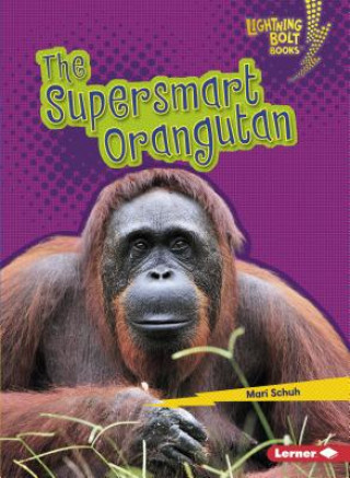 Kniha The Supersmart Orangutan Mari C Schuh