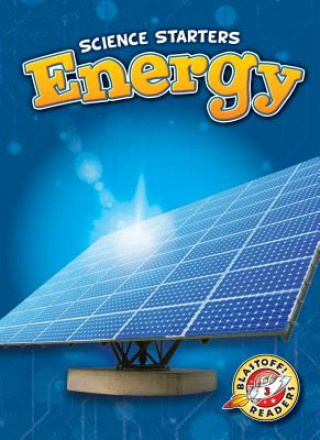 Livre Energy Rebecca Pettiford