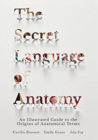 Kniha Secret Language of Anatomy Cecilia Brassett