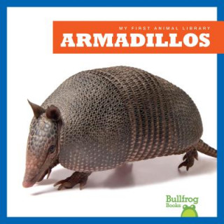 Книга Armadillos Cari Meister