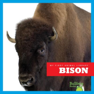 Книга Bison Cari Meister