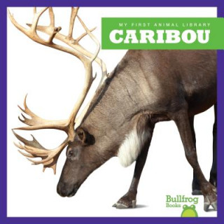 Kniha Caribou Cari Meister