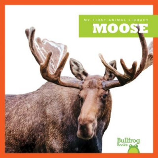 Livre Moose Cari Meister