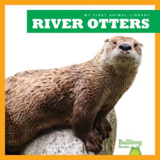 Knjiga River Otters Cari Meister