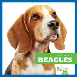 Könyv Beagles Kaitlyn Duling