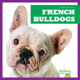 Kniha French Bulldogs Kristine Spanier