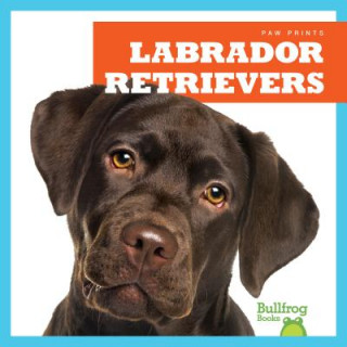 Carte Labrador Retrievers Jenna Lee Gleisner