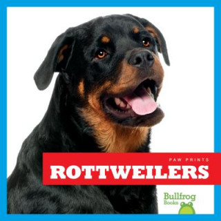Knjiga Rottweilers Nadia Higgins