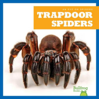 Book Trapdoor Spiders Kristine Spanier