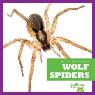 Buch Wolf Spiders Jenna Lee Gleisner