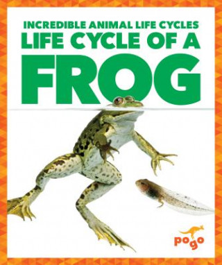 Buch Life Cycle of a Frog Karen Kenney