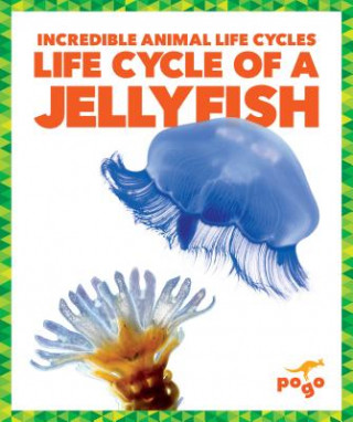 Kniha Life Cycle of a Jellyfish Karen Kenney