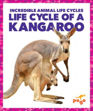 Książka Life Cycle of a Kangaroo Karen Kenney