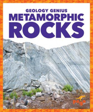 Knjiga Metamorphic Rocks Rebecca Pettiford