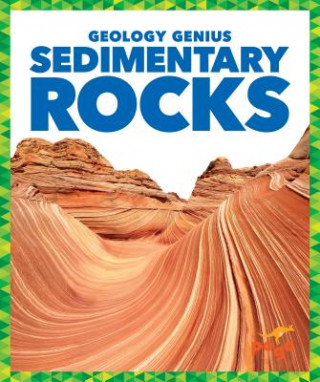 Книга Sedimentary Rocks Rebecca Pettiford