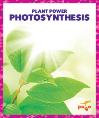 Kniha Photosynthesis Karen Kenney