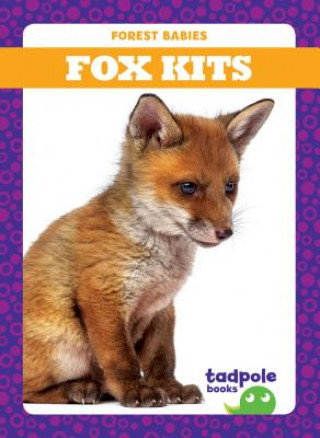 Kniha Fox Kits Genevieve Nilsen