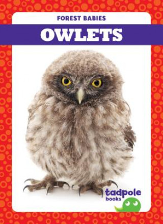 Knjiga Owlets Genevieve Nilsen