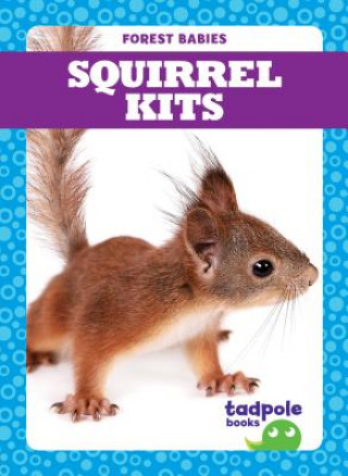 Könyv Squirrel Kits Genevieve Nilsen