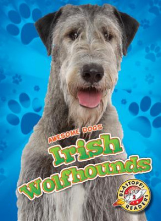 Knjiga Irish Wolfhounds Irish Wolfhounds Paige V Polinsky