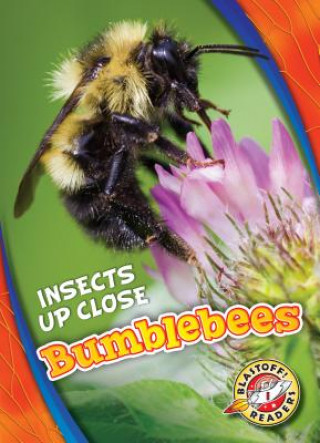 Knjiga Bumblebees Patrick Perish