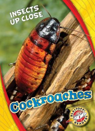 Kniha Cockroaches Patrick Perish