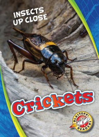 Knjiga Crickets Patrick Perish
