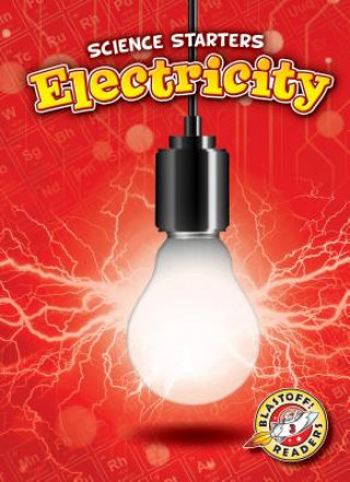Buch Electricity Rebecca Pettiford