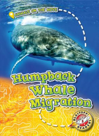 Carte Humpback Whale Migration Kari Schuetz