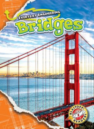 Knjiga Bridges Chris Bowman