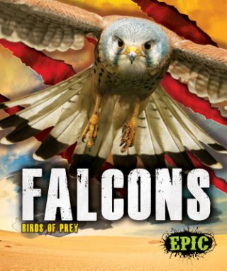 Knjiga Falcons Nathan Sommer
