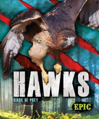 Könyv Hawks Nathan Sommer