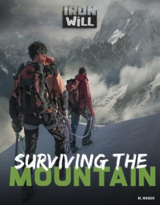 Book Surviving the Mountain M Weber
