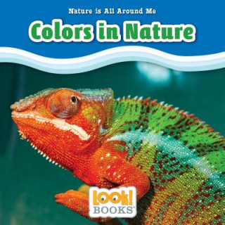 Könyv Colors in Nature Jennifer Marino Walters