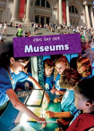 Knjiga Museums Joanne Mattern