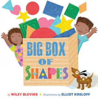 Knjiga Big Box of Shapes Wiley Blevins