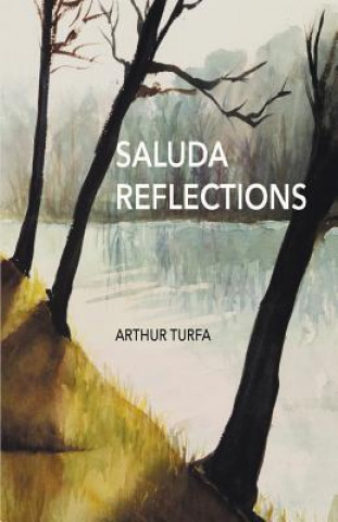Buch Saluda Reflections Arthur Turfa