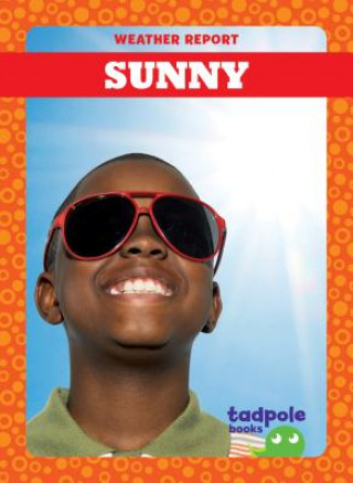 Knjiga Sunny Tessa Kenan