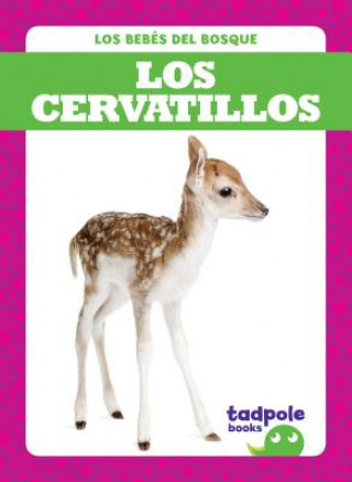 Carte Los Cervatillos (Deer Fawns) Genevieve Nilsen