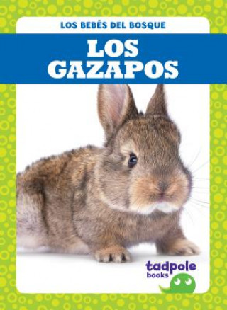 Kniha Los Gazapos (Rabbit Kits) Genevieve Nilsen