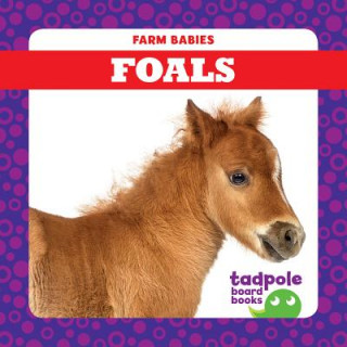 Βιβλίο Foals Tim Mayerling